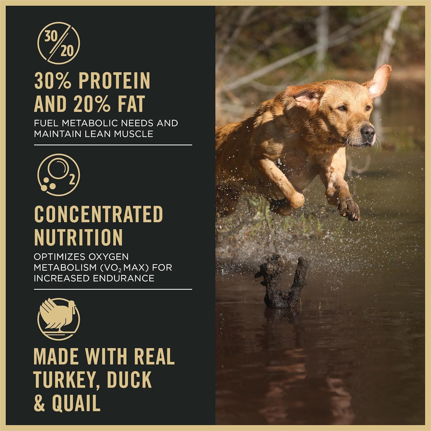 Purina Pro Plan Sport Performance 30/20 Turkey Duck Quail Formula Dry Dog Food, High Protein Dog Food - 6 Lb. Bag