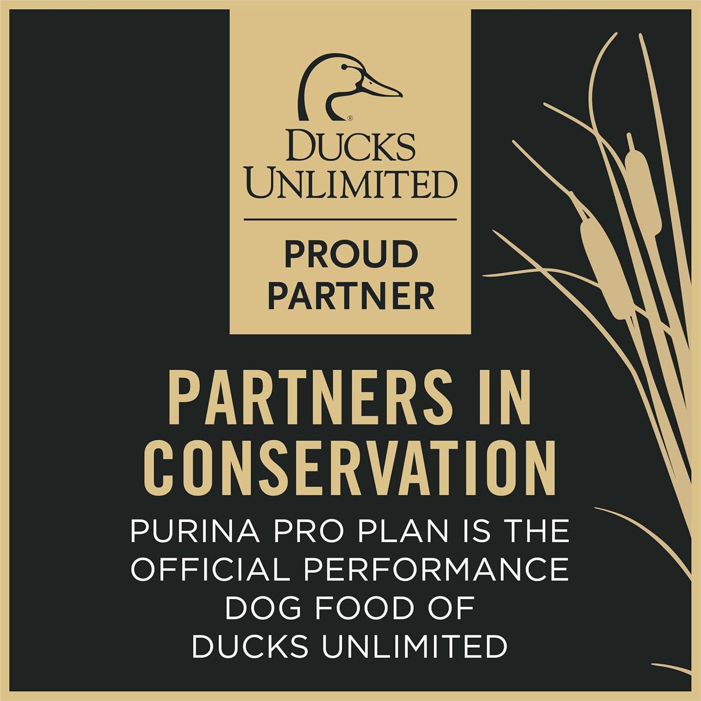 Purina Pro Plan Sport Performance 30/20 Turkey Duck Quail Formula Dry Dog Food, High Protein Dog Food - 6 Lb. Bag